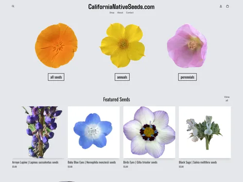 Screenshot of website